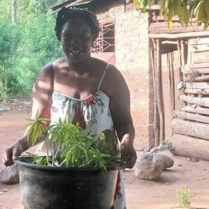 Women in Forestry -The Hands That Keep Landscapes Alive Women in Forestry -The Hands That Keep Landscapes Alive