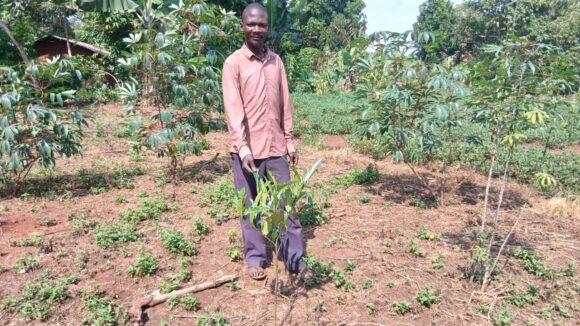 Farmer Story: A Conversation With a Cocoa Farmer