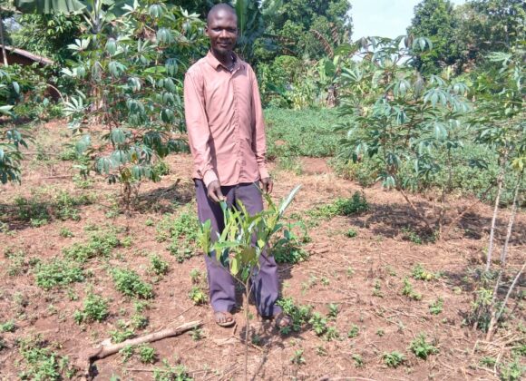 Farmer Story: A Conversation With a Cocoa Farmer Farmer Story: A Conversation With a Cocoa Farmer