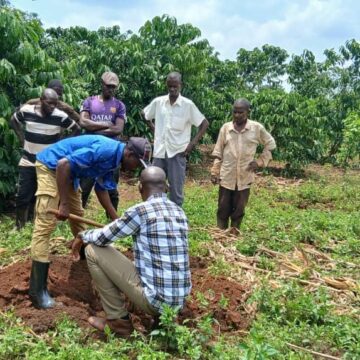Farmer Agroforestry Training Farmer Agroforestry Training